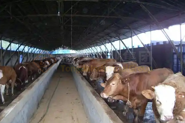 年產(chǎn)5萬噸牛糞有機肥生產(chǎn)線