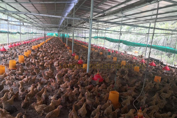 青海西寧市統(tǒng)籌推進畜禽養(yǎng)殖污染專項整治