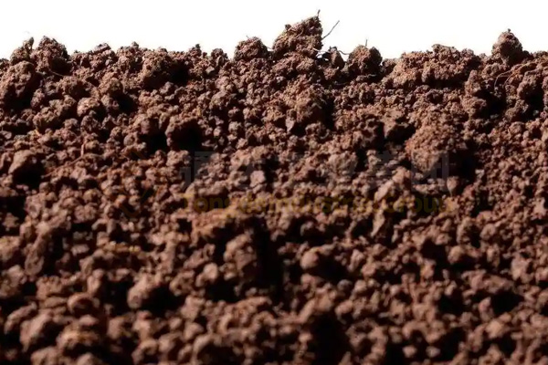 蚯蚓吃秸稈牛糞豬糞解決環(huán)保，蚯蚓糞制成有機(jī)肥料創(chuàng)富生財(cái)